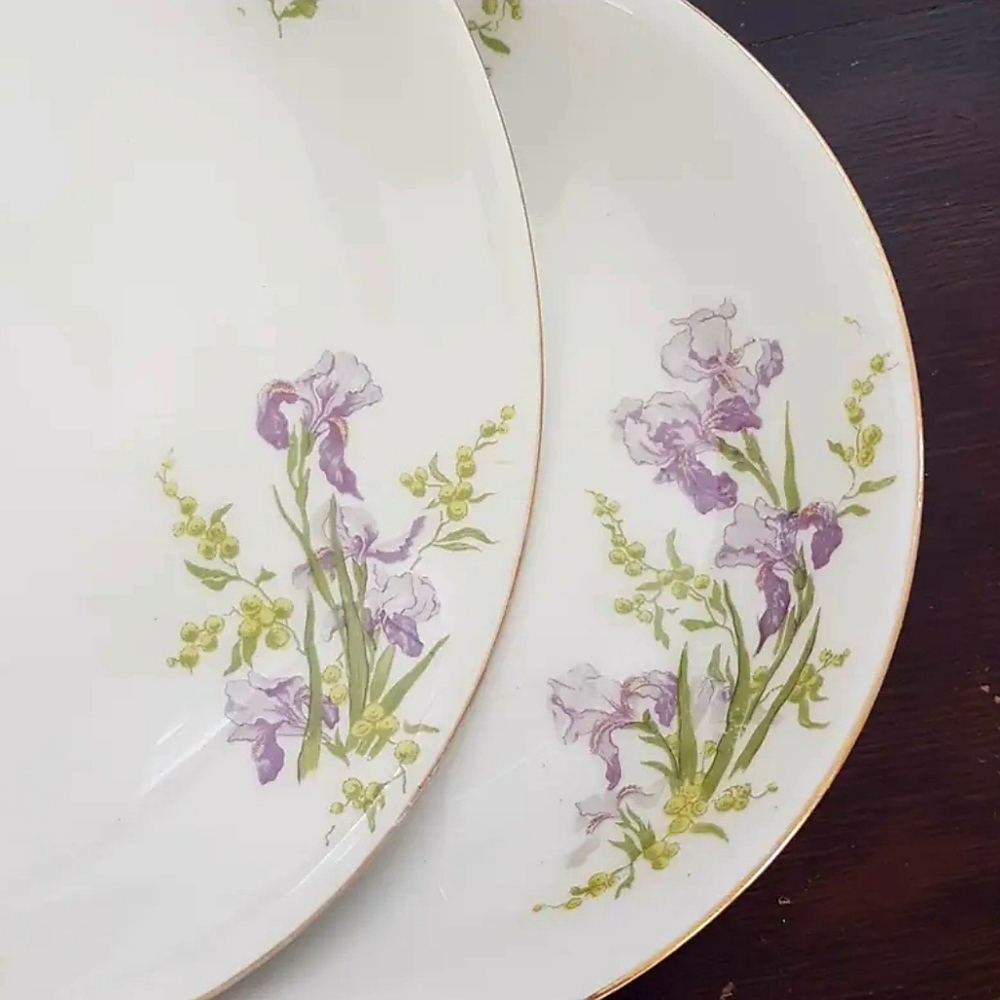 Limoges Porcelain 4pc Pasta Bowls with Purple Iris Flowers